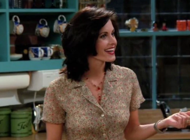 Courteney Cox er tilbage med ny krimithriller: Modtagelsen er meget blandet