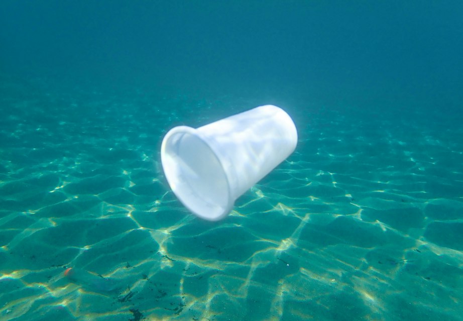 Forskning i plastik i havene.. – ONN.dk